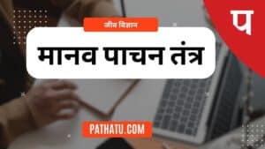 मानव पाचन तंत्र, नामांकित चित्र, परिभाषा, कार्य