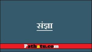 संज्ञा की परिभाषा और संज्ञा के भेद व प्रकार, गुण Sangya ki Paribhasha in Hindi