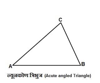 acute angled triangle